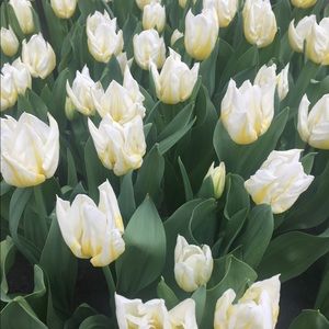 Meet your Posher, Helda